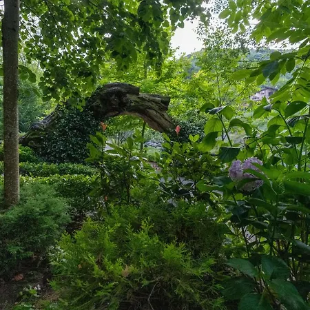 B&B Istanbuldere Alabalikevi 3*