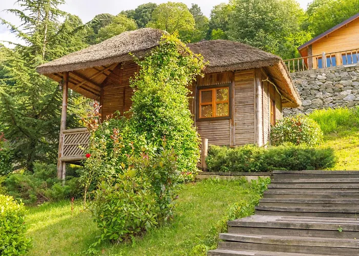 فندق مبيت وإفطار Istanbuldere Alabalikevi